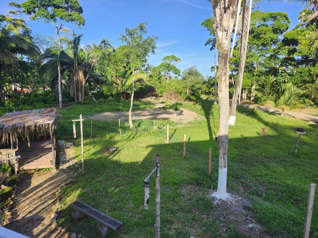 listing image with ID 77620