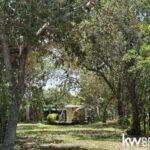 listing image thumbnail with ID 87215