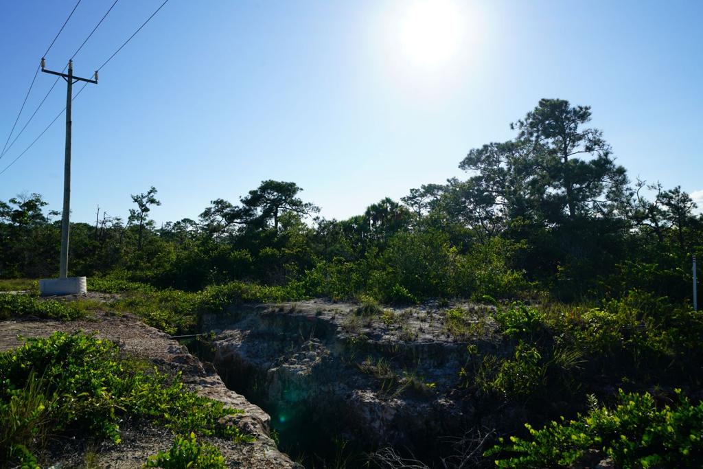 listing image with ID 107568