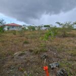 listing image thumbnail with ID 101888