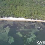 listing image thumbnail with ID 77336