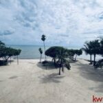 listing image thumbnail with ID 95207