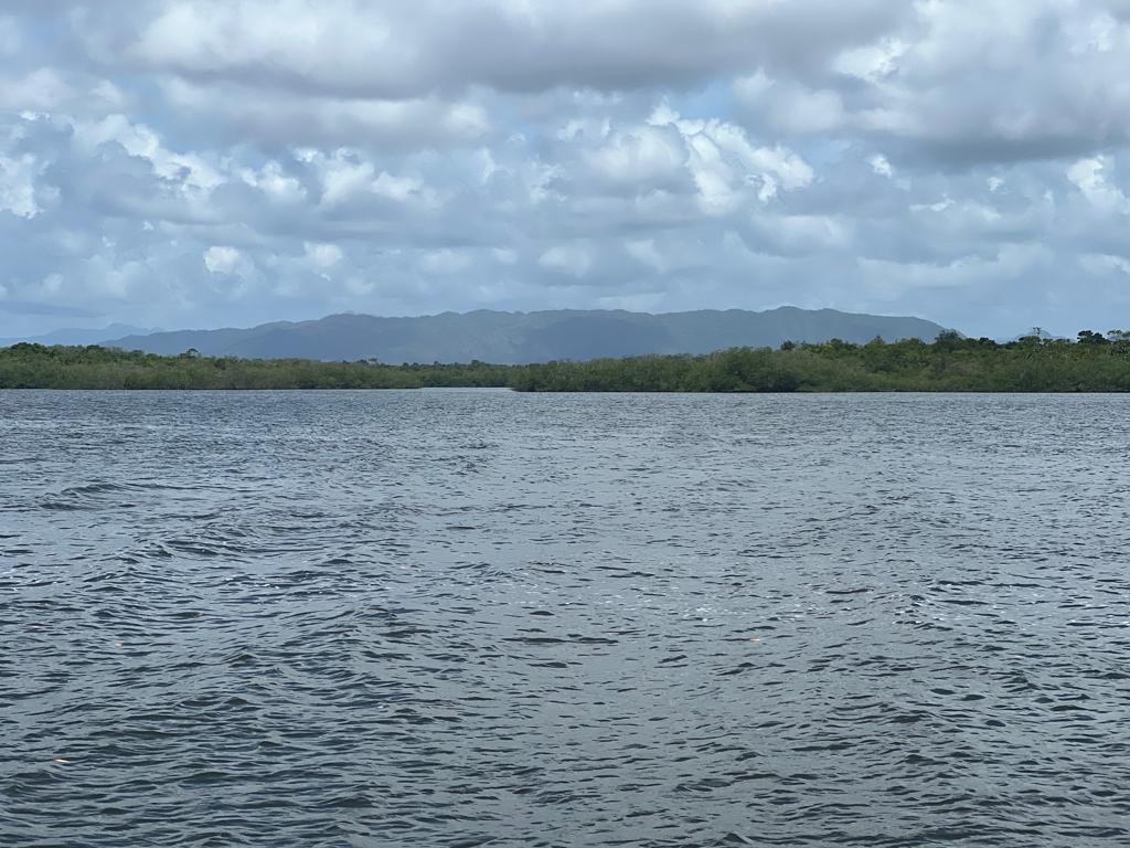listing image with ID 103875