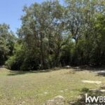 listing image thumbnail with ID 87219