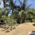 listing image thumbnail with ID 100667