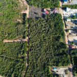 listing image thumbnail with ID 105431