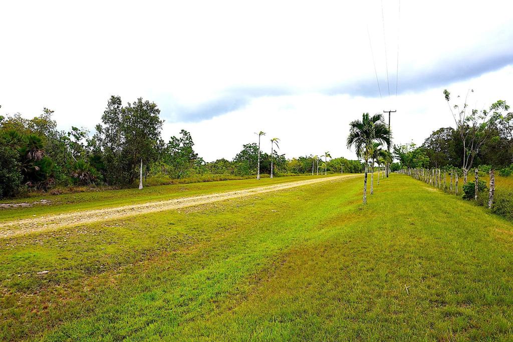 listing image with ID 82685