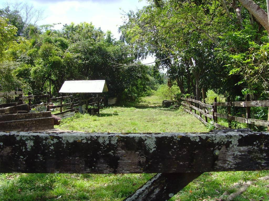 listing image with ID 107374