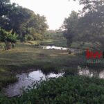listing image thumbnail with ID 89138