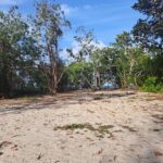 listing image thumbnail with ID 90780