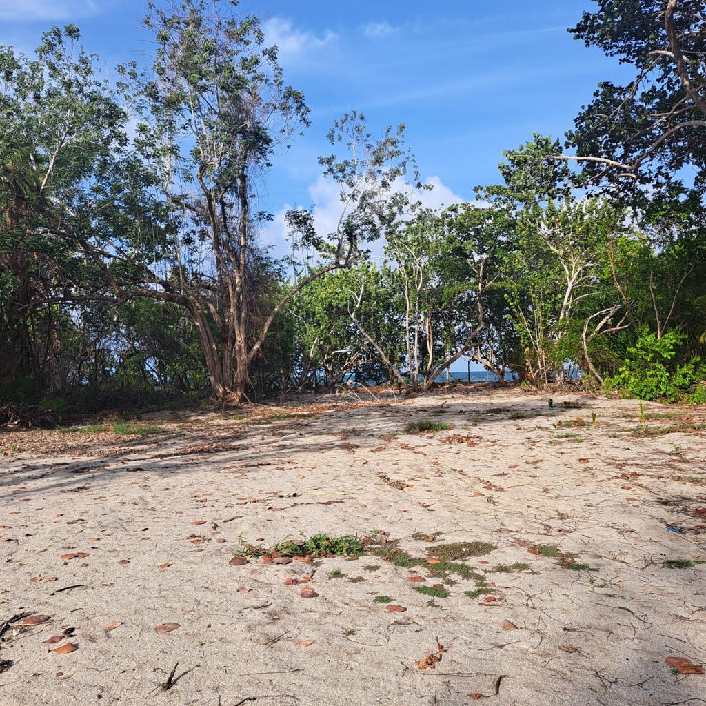 listing image with ID 90780