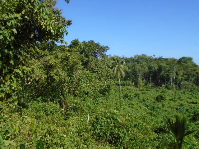 listing image with ID 98954