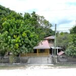 listing image thumbnail with ID 74933