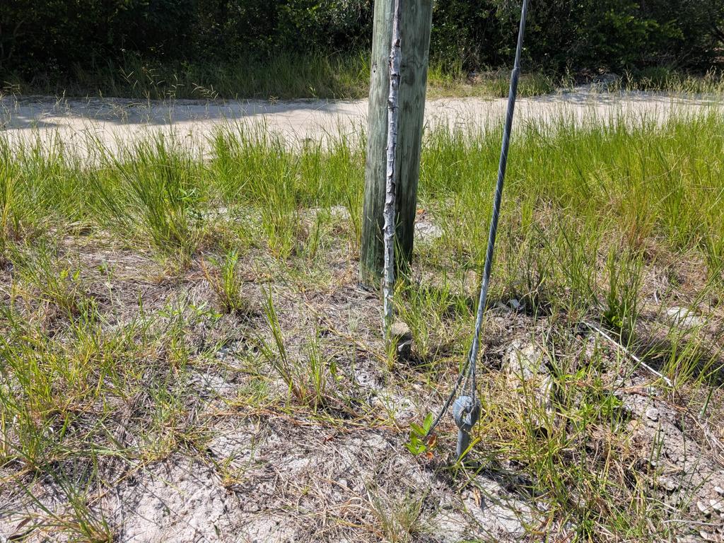 listing image with ID 78364
