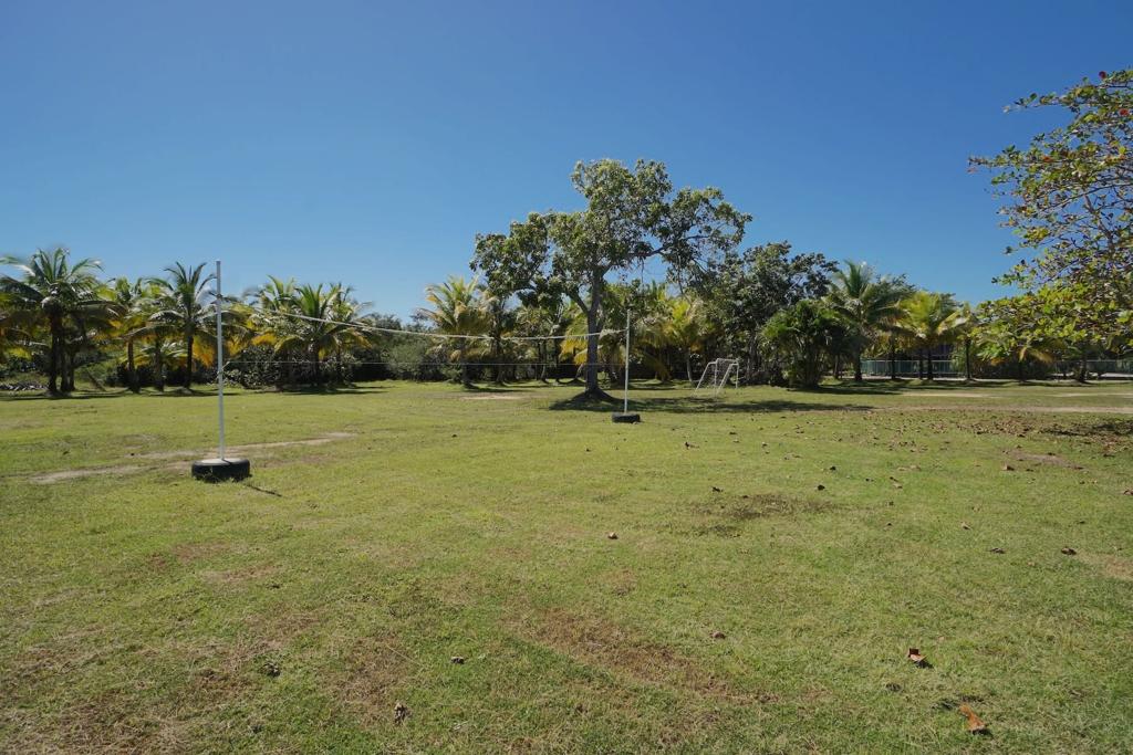 listing image with ID 88120