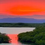 listing image thumbnail with ID 98252