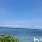 listing image thumbnail with ID 93941