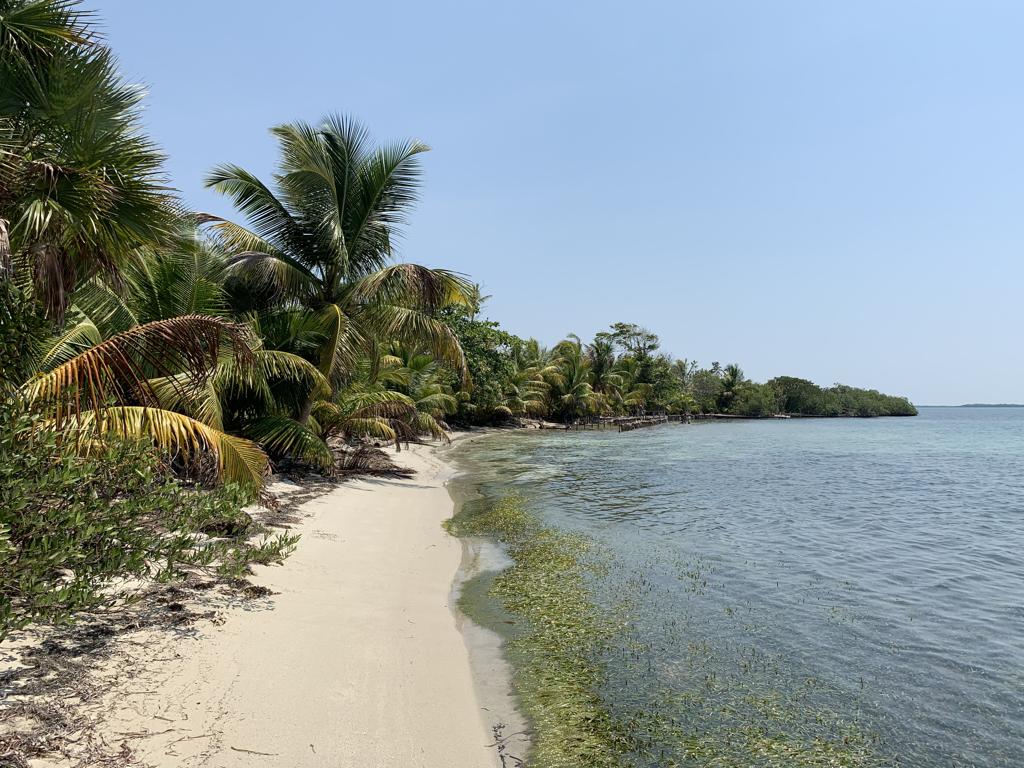 listing image with ID 106723