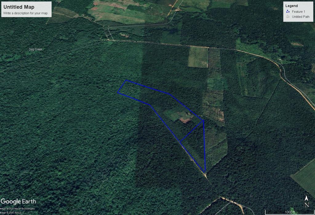 listing image with ID 104253