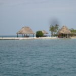listing image thumbnail with ID 87335