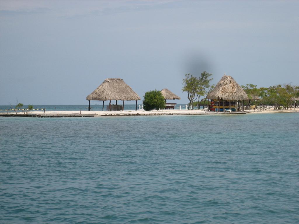 listing image with ID 87335