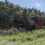 listing image thumbnail with ID 92844