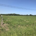 listing image thumbnail with ID 102130