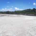 listing image thumbnail with ID 85213