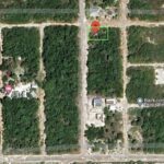listing image thumbnail with ID 93371