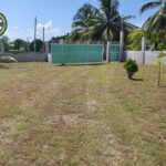 listing image thumbnail with ID 81136