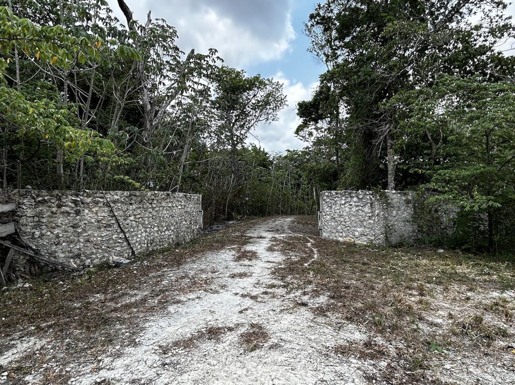 listing image with ID 92327