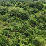 listing image thumbnail with ID 100969