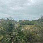 listing image thumbnail with ID 88855