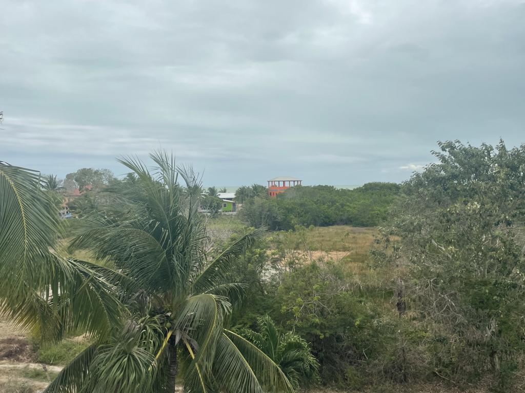 listing image with ID 88855