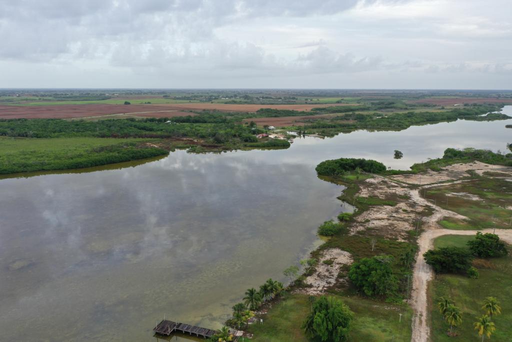 listing image with ID 88934