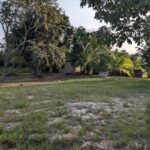 listing image thumbnail with ID 83321