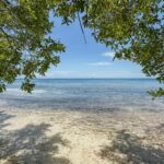 listing image thumbnail with ID 94330