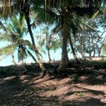 listing image thumbnail with ID 77955