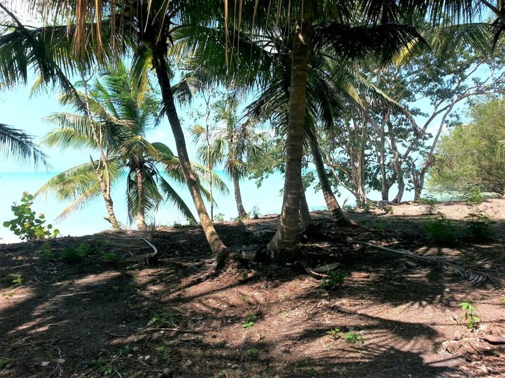 listing image with ID 77955
