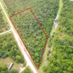 listing image thumbnail with ID 98737