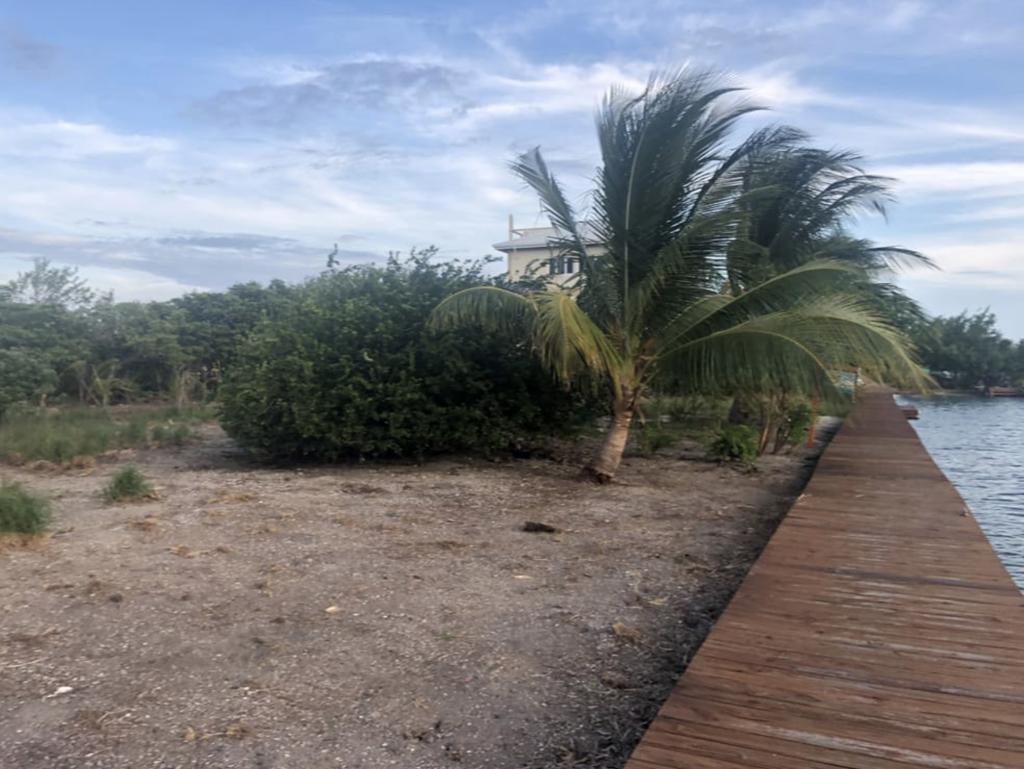 listing image with ID 94766