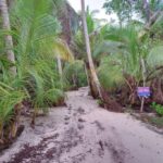 listing image thumbnail with ID 79604