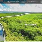 listing image thumbnail with ID 93284