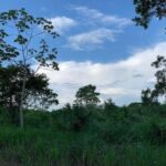 listing image thumbnail with ID 78945