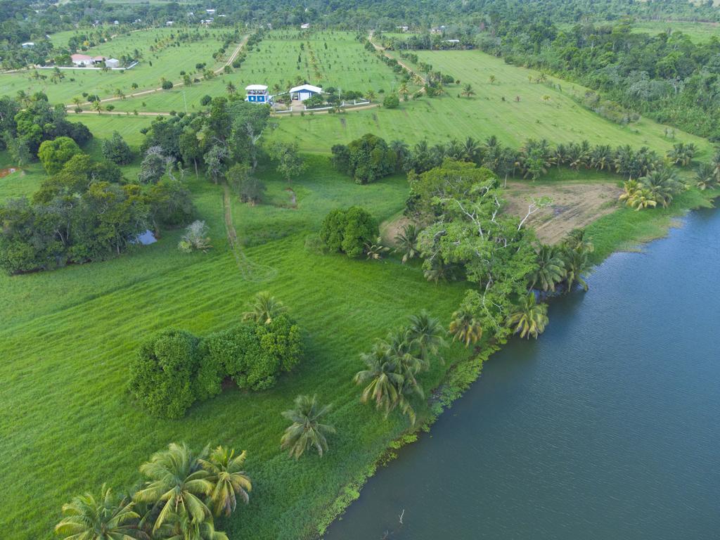 listing image with ID 75802