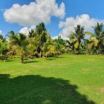 listing image thumbnail with ID 76523