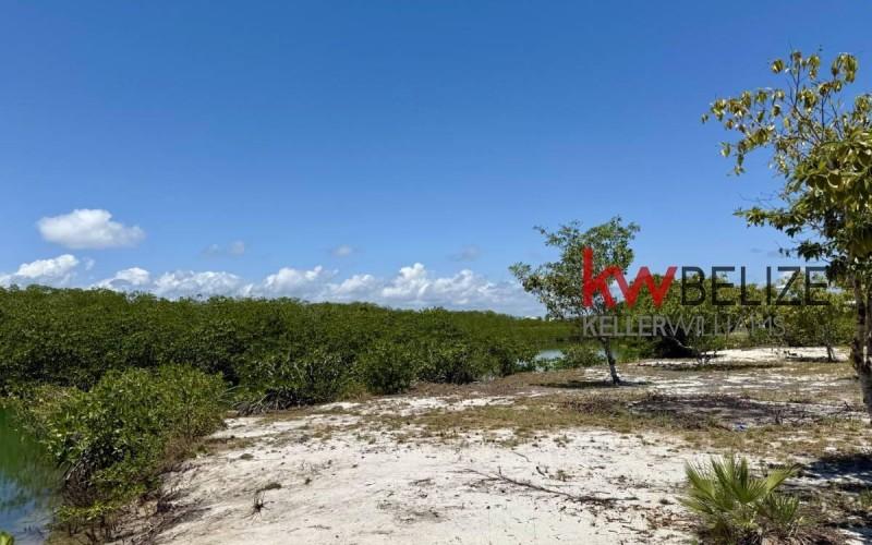 listing image with ID 84990