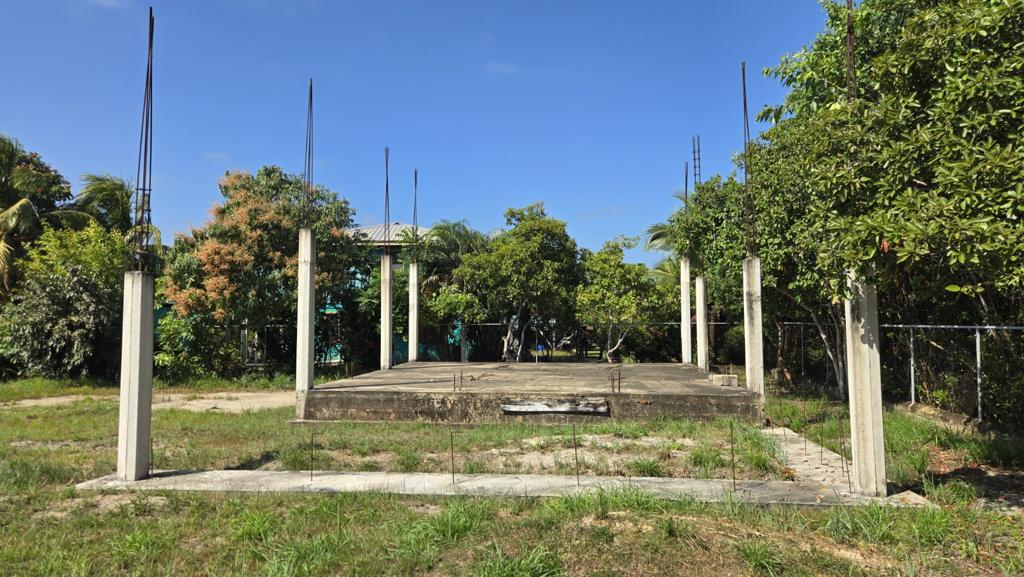 listing image with ID 100005