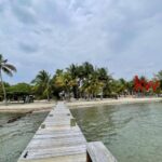 listing image thumbnail with ID 76264
