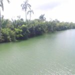 listing image thumbnail with ID 83208